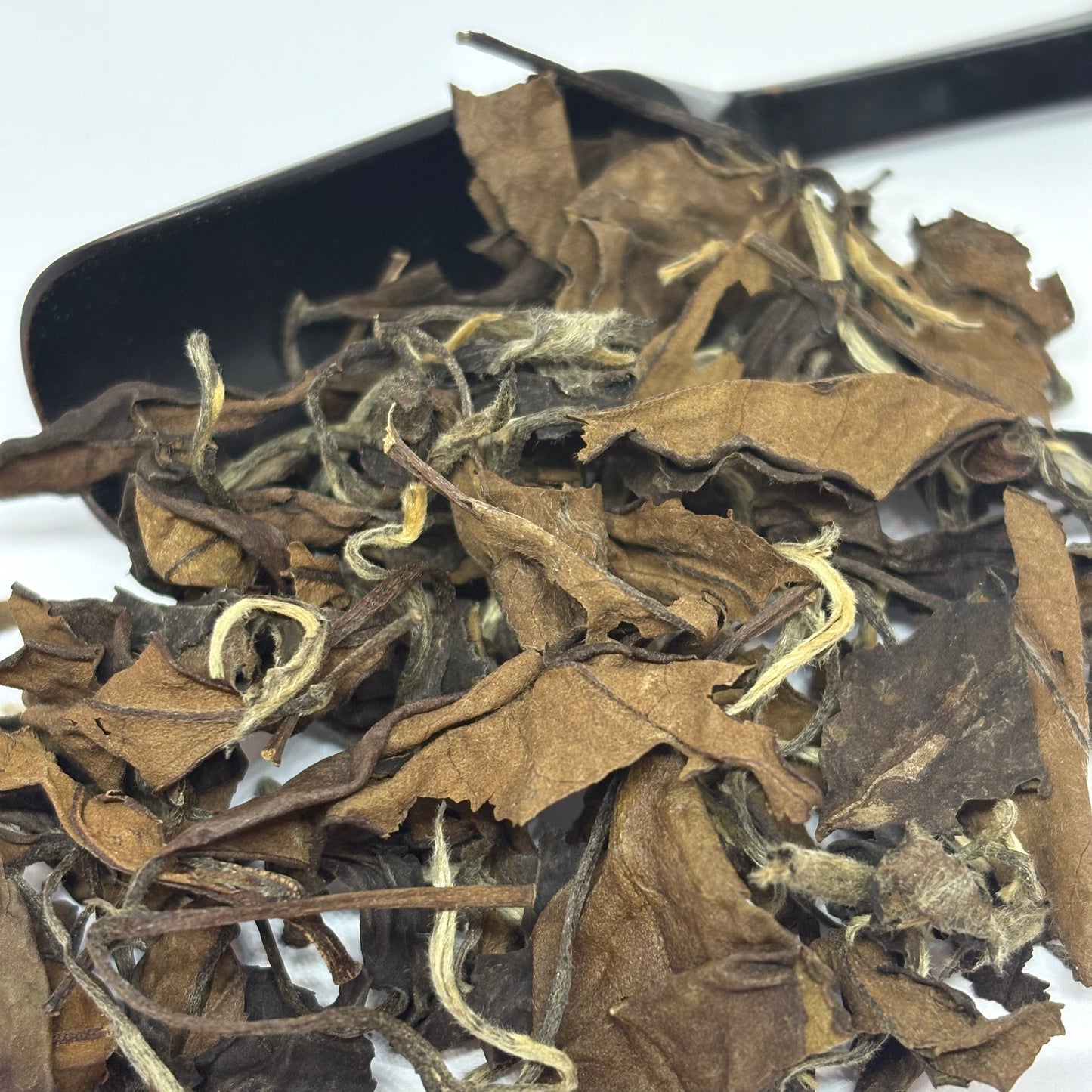 Lao Shou Mei (Longevity Eyebrows) White Tea