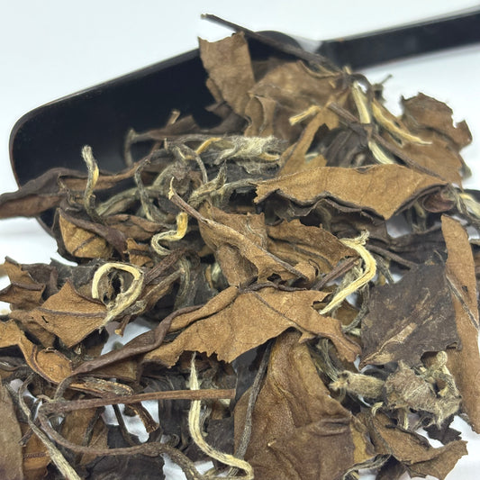 Lao Shou Mei (Longevity Eyebrows) White Tea