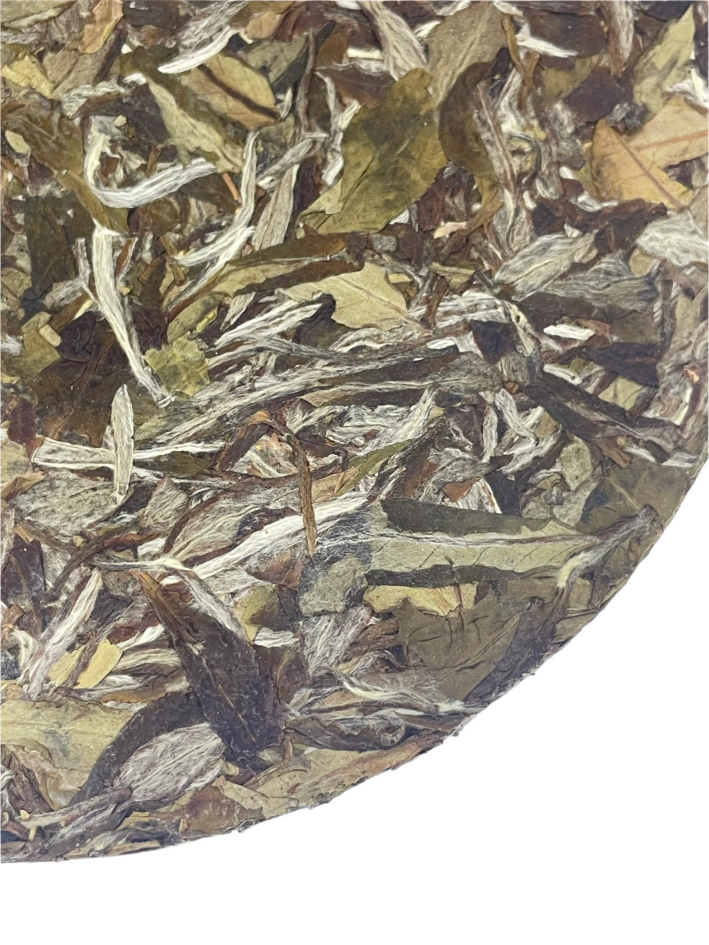 Pressed White Peony (Bai Mu Dan) Tea – Fu Ding, 2017 Vintage 150g