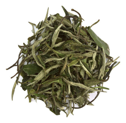 White Peony (Bai Mu Dan)