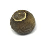 Orange and Pu'Er